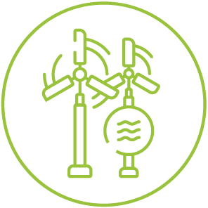 Harmful insect focus